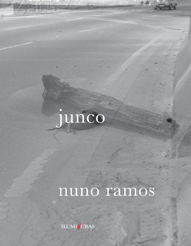 Junco, de Ramos, Nuno. Editora Iluminuras Ltda., capa mole em português, 2000