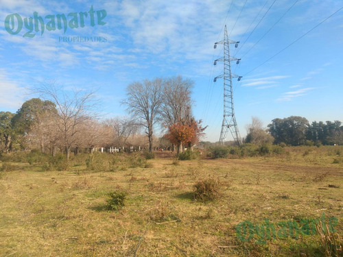 Imagen 16 de 21 de Venta De Campo De 23 Hectáreas En General Rodriguez.