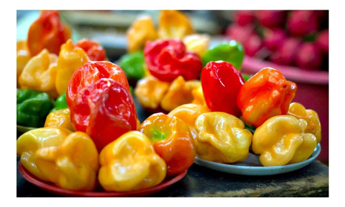 Semillas Habanero Manzano
