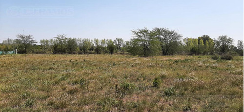 Terreno En Chacras Del Ocho, Pilar