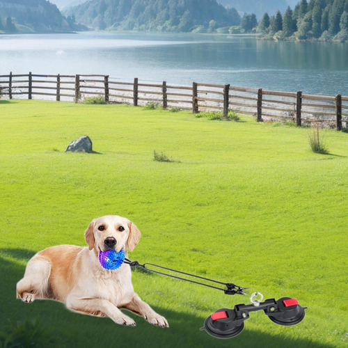 Ancla De Ventosa, Ventosa Para Baño De Perros, Ventosa