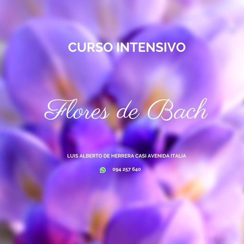 Curso Flores De Bach Intensivo Presencial