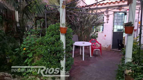 Con Renta! Dos Casas En Un Mismo Padrón