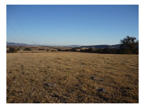 Imagen 7 de 13 de Terreno Cuandones Y Potrero Cerrado Venta