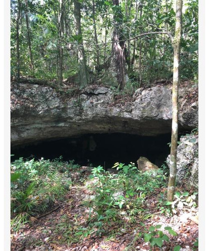 Terreno En Venta En Ruta De Los Cenotes