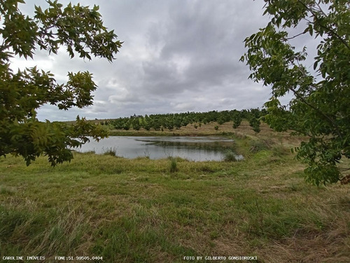 Imagem 13 de 15 de Sítio / Chácara Para Venda Em General Câmara, -, 2 Dormitórios, 2 Banheiros, 2 Vagas - 10010_1-2229460