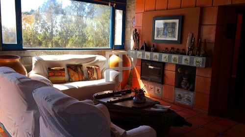 Imagen 6 de 16 de Chacra En Venta José Ignacio 3 Dormitorios, 10 Hectáreas