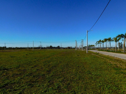 Venta Lote En El Lazo En Exaltacion De La Cruz