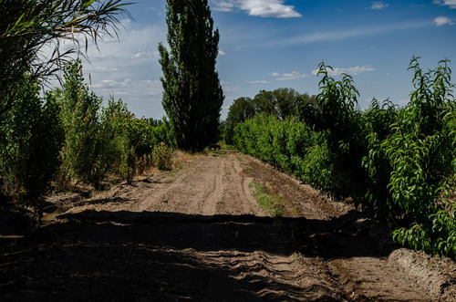 Finca En Venta En Tunuyán