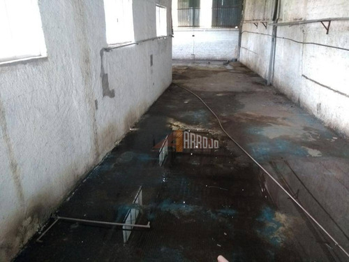 Imagem 5 de 30 de Galpão À Venda, 171 M² Por R$ 8.000.000,00 - Jardim Maria De Lourdes - Guarulhos/sp - Ga0024