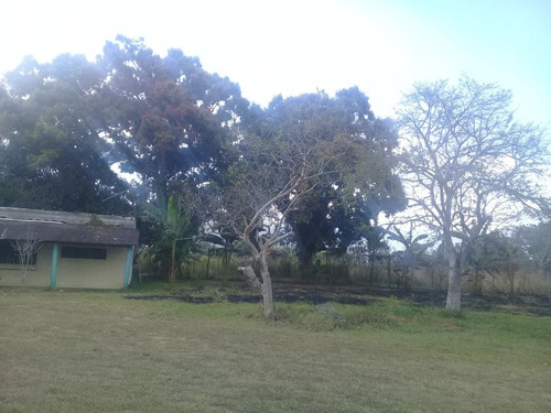 Imagen 13 de 14 de (+58 4144713559 Angela Giron) En Venta Finca En Bejuma, Carabobo. 58ha, 6hab, 2bañ, 6pe. .belgi.