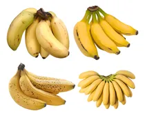 Comprar Kit 3 Mudas De Banana 1 Maçã, 1 Terra E 1 Nanica