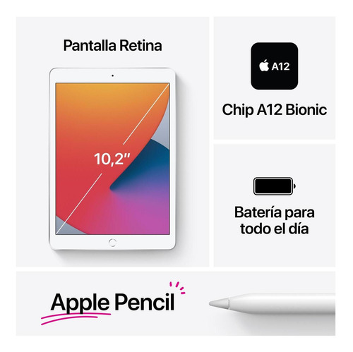 iPad 10.2 (8va Generación) Wi-fi - 32 Gb - Gris Espacial