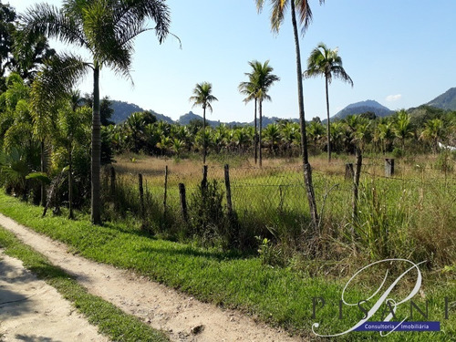 Sitio - St00012 - 33660008