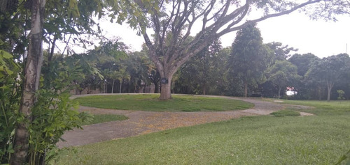 Imagen 3 de 7 de Venta De Parcela Plana En Lomalinda Primera Etapa