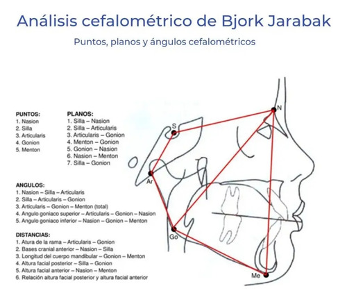 Radiografías Panorámicas, Teleradiografias Y Estudios Cef.