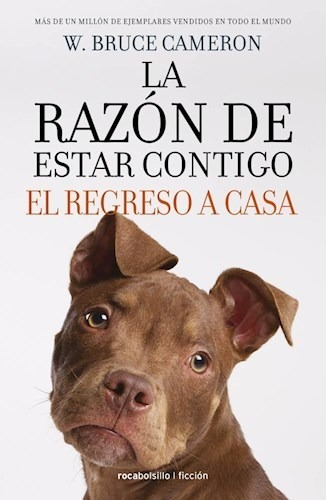 La Razon De Estar Contigo:el Regreso A Casa- Cameron B. Roca