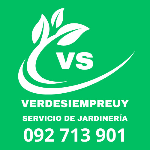 Jardinero-servicio De Jardinería-mantenimiento Áreas Verdes