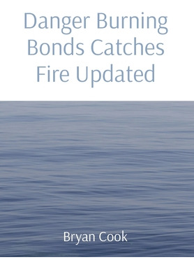 Libro Danger Burning Bonds Catches Fire Updated - Cook, B...