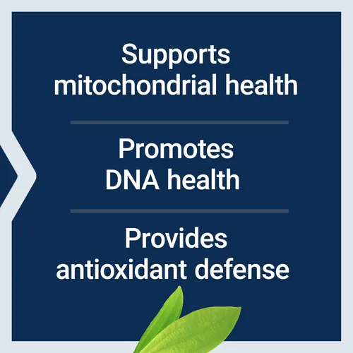 Clorofilina 100 Mg Antioxidante Para Adn Salud Hepática Desi