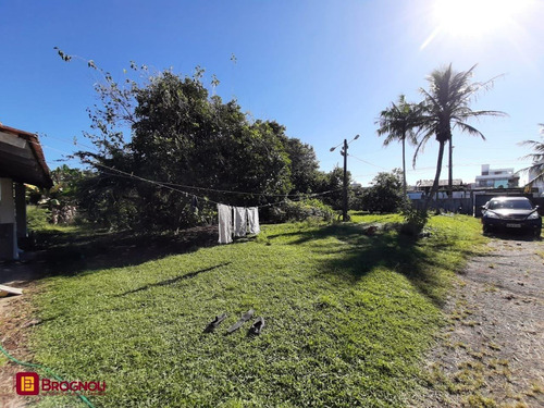 Imagem 7 de 15 de Terreno Comercial/residencial - Jardim Cidade De Florianopolis - Ref: 38521 - V-t19-38521