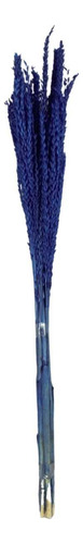 Planta Seca Flor De Milho Azul 60 Cm