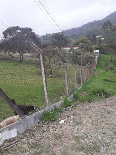 Imagem 6 de 24 de Chácara - Chácaras Monte Verde - São Roque Sp - Ch141052v