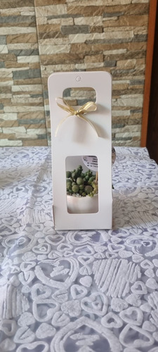 Imagen 4 de 5 de Regalos, Recuerdos Personalizados Naturales Suculentas Ofert