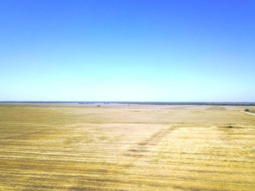 Imagen 8 de 8 de Campo - Bovril
