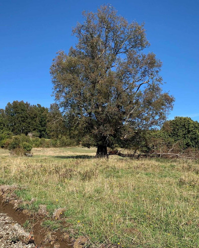 Gran Proyecto De Parcelas Sector Los Riscos (103008)