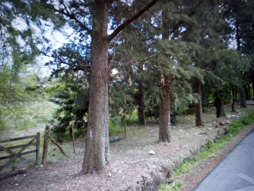 Imagen 4 de 6 de Lote En Venta En 30 X 50 City Bell,461 Y 21d