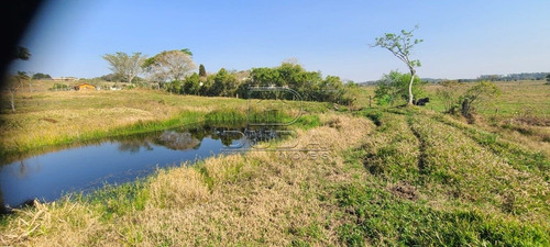 Imagem 15 de 15 de Sitio - Coqueiros - Ref: 26160 - V-26160