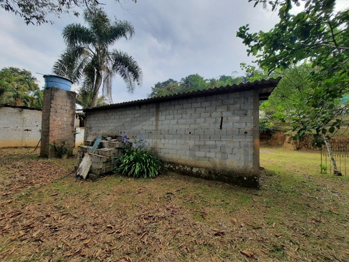 Imagem 16 de 22 de (3100 M²) Chácara Bem Localizada, Com Espaço Para Construir. - 403 - 70403710