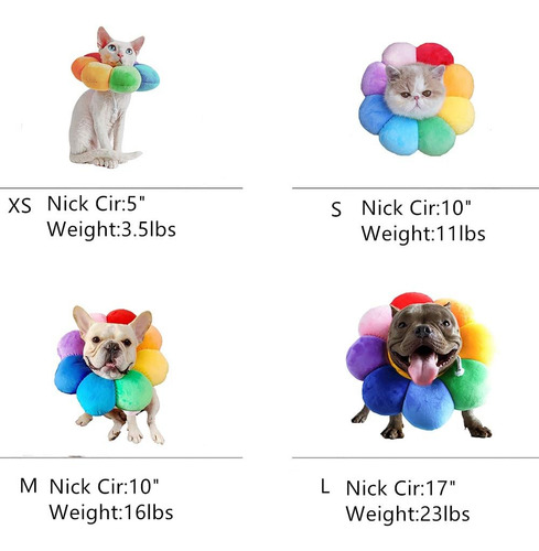 Collar De Recuperación Ajustable Para Mascotas - ...