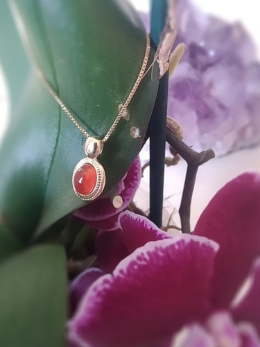 Conjunto Semi Joia Banho Ouro E Pedra Ágata Vermelha