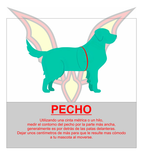 Ropa Abrigo Capa Perro Gato - Talles Chicos - Vachicho San Lorenzo 01