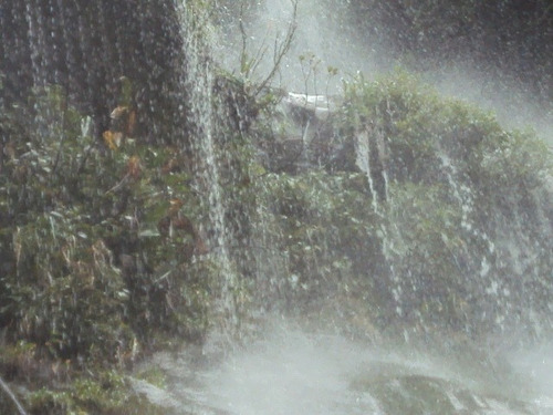 Imagem 5 de 6 de Área Para Compensação Ambiental