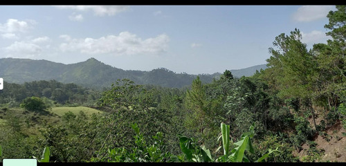 Vende Finca En Jarabacoa, Cultivadad