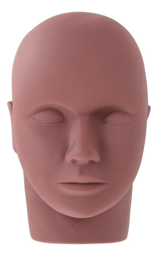 Modelo De Cabeza De Maniquí Para Entrenamiento Práctico, Ver