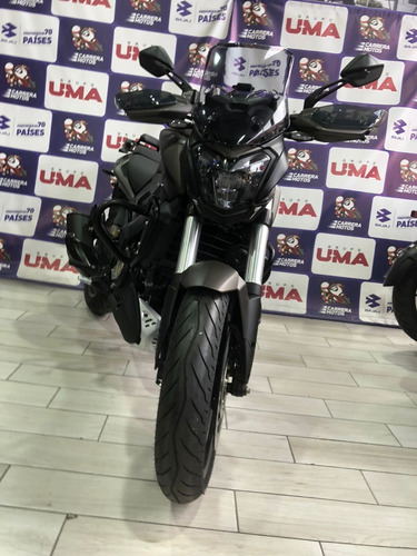Imagen 3 de 18 de Dominar 400 Touring Accesorizada