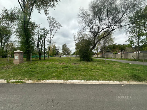 Venta Lote Financiación Avenida Olivos Y Panamericana Excelente Ubicación !!!