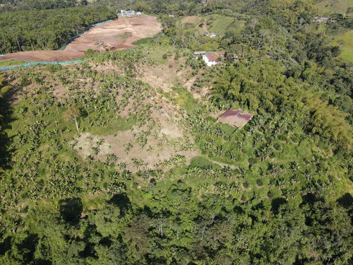 Imagen 26 de 30 de Venta De Finca En Pereira Vereda Combia .