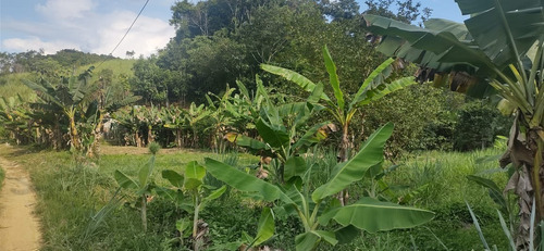 Imagem 6 de 26 de Juquiá/oportunidade/chácara Rica Em Água E Área De Plantio/ref:05354