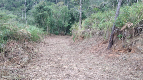 Imagem 3 de 10 de Vende-se 7,5 Alqueires Localizado A 7km Da Rodovia Regis Bittencourt