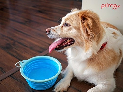 Prima Pet - Tazón De Viaje Extensible /plegable De Silicona