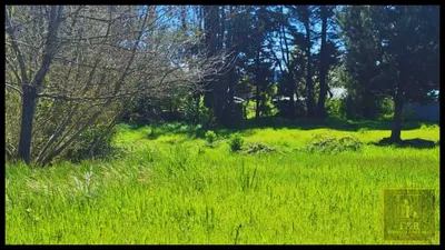 Sitio en venta