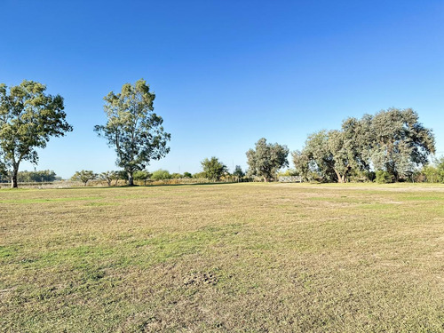 Terreno En La Reserva, Barrio De Chacras