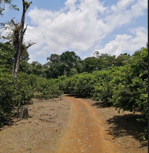 Imagen 1 de 9 de Finca Hermosa
