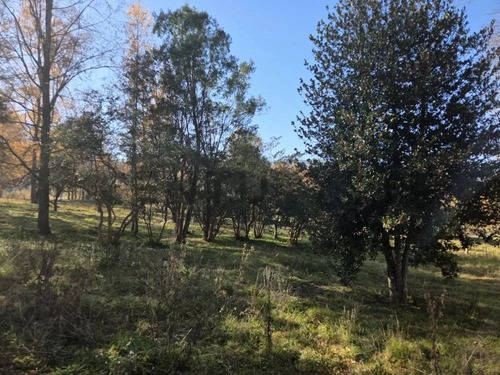 Parcelas Urbanizadas En Condominio Sector Pedregoso