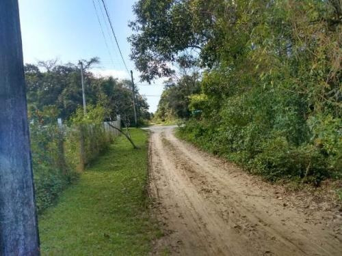 Imagem 8 de 10 de Terreno A 500 Metros Do Rio Em Itanhaém - 6462
